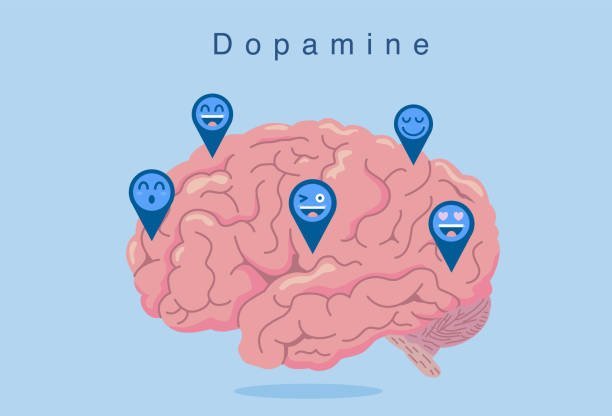 The Science of Dopamine: Managing the Tightrope for Better Health